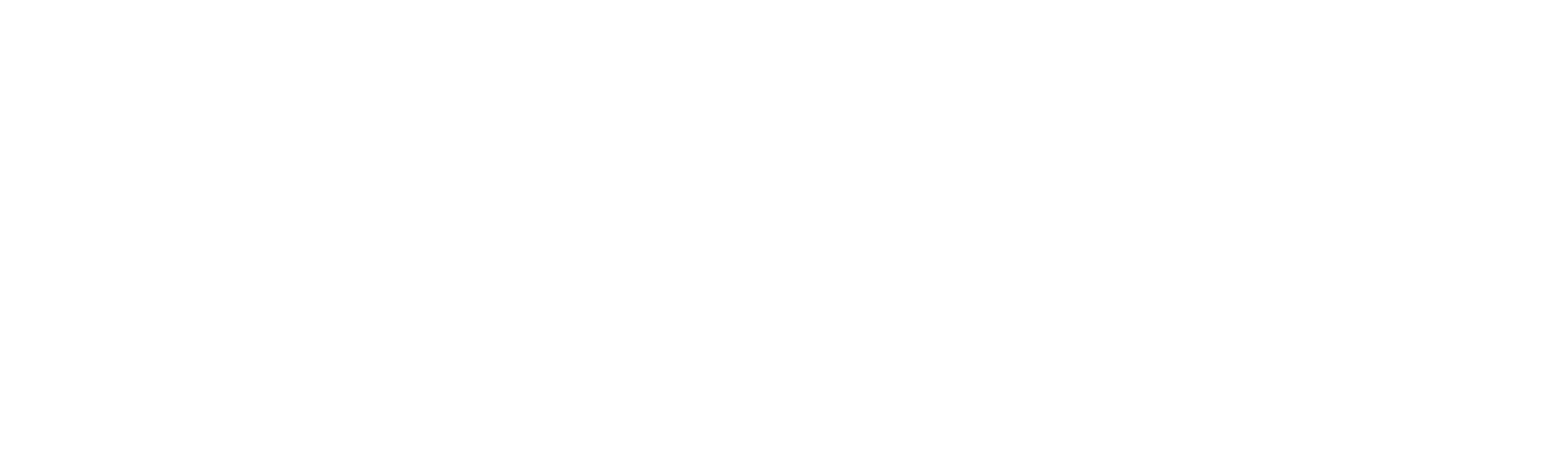 PRETTI_ENDOSSO 100 ANOS - BRANCO.png